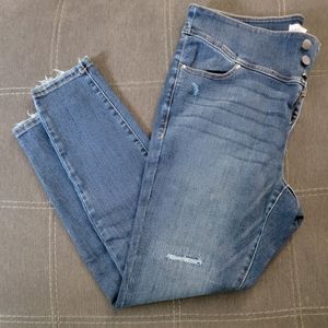 Lane Bryant Jeans